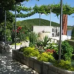 Shell Bay *