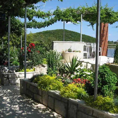 Shell Bay *